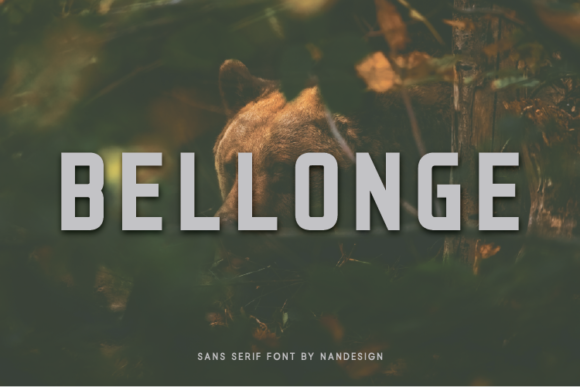 Bellonge: The Minimal Sans Serif Typeface for Editorial Clarity