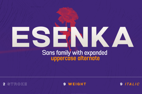 Esenka: The Sans Serif Typeface That Transformed My Brand Identity