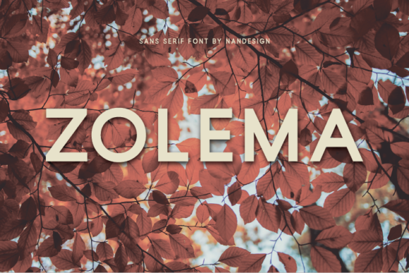 Zolema: A Minimal Sans Serif Font for Handmade Branding